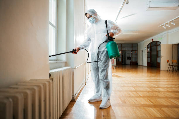 Emergency Pest Control in Bridgeview, IL